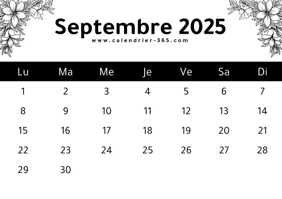 Grupo Erik - Calendrier Chats - De Septebre 2025 à Décebre 2026 | Planificateur Ensuel 16